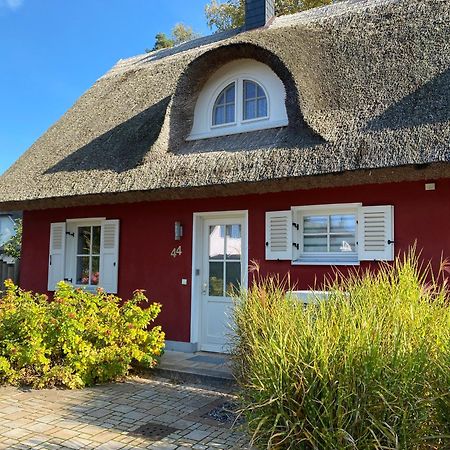 Ferienhaus Greta Glowe Exterior photo